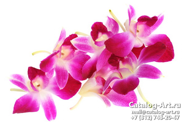 картинки для фотопечати на потолках, идеи, фото, образцы - Потолки с фотопечатью - Розовые орхидеи 37